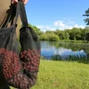 Carp Trakker Bait Making Equipment * Air Dry Tower
