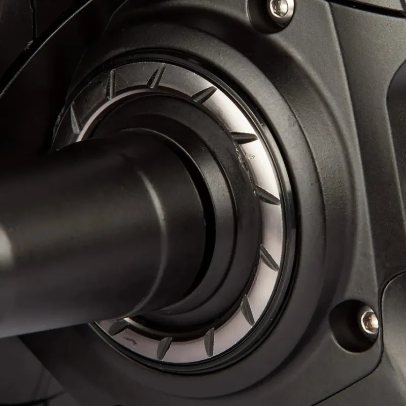 Carp Daiwa Reels * Black Widow Reel