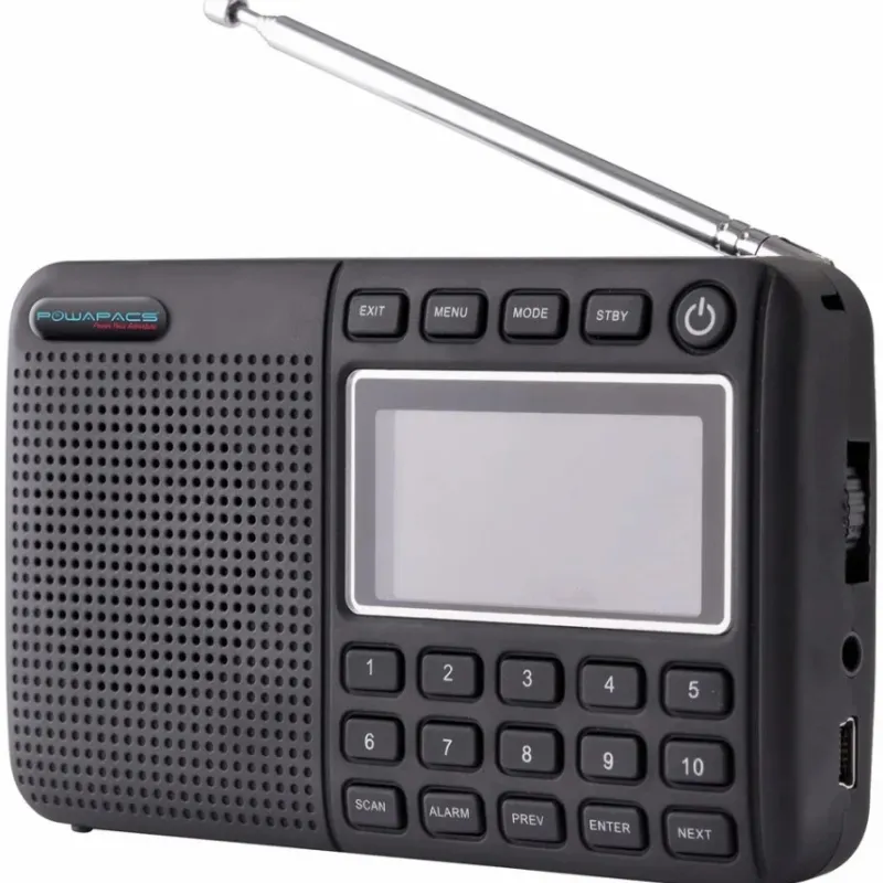Carp Powapacs Miscellaneous * DAB+ Pro Radio