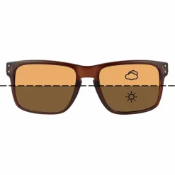 Carp Fortis Eyewear Sunglasses * Fortis Bays Switch Brown Fishing Sunglasses
