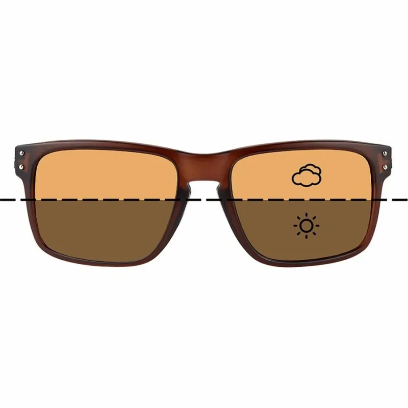 Carp Fortis Eyewear Sunglasses * Fortis Bays Switch Brown Fishing Sunglasses