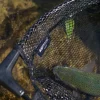 Pike / Predator Advanta Nets * GS Trout Rubber Landing Net