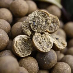 Carp CC Moore Bait & Additives * Odyssey XXX Fishing Boilies