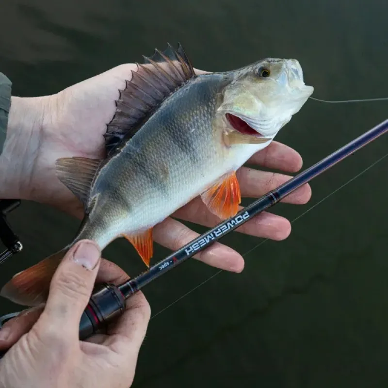 Pike / Predator Daiwa Rods * Powermesh AX Drop Shot Fishing Rod