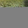 Carp Advanta Bedchairs * Protector MZ Straight 6 Bedchair