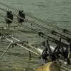 Carp Solar Tackle Rod Pods * P1 Universal Fishing Rod Pod