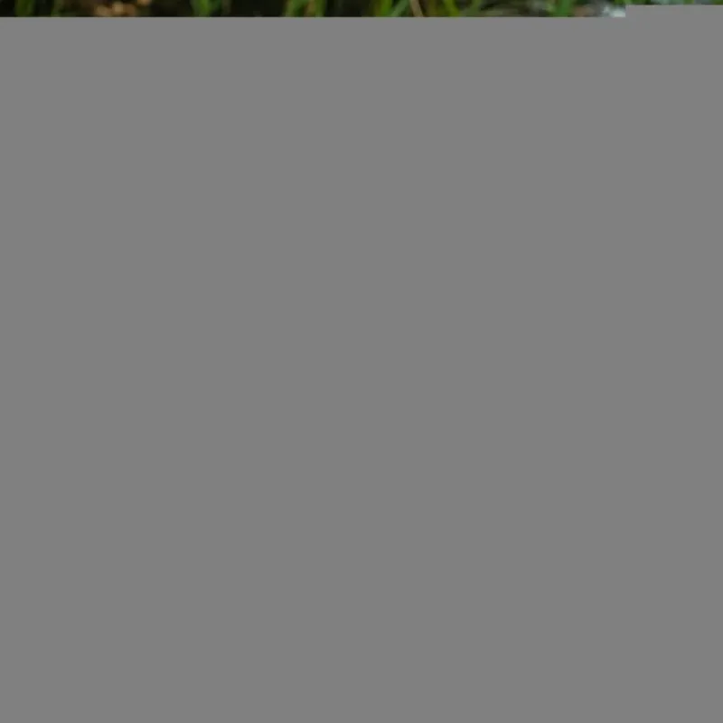 Carp Future Carping Bait Boats * V60 Carbon Fishing Bait Boat