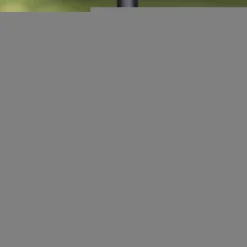 Carp Sonik Nets * Xtractor Recon Landing Net (T30)